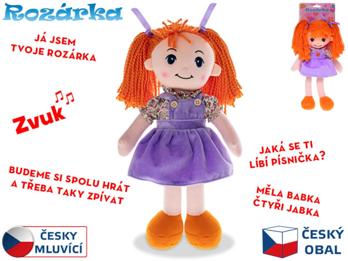 nahrávám obrázek